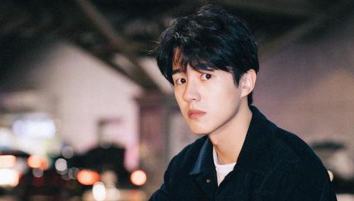 刘昊然舆论爆料视频,真相与误解的交织